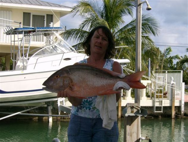 Mutton Snapper