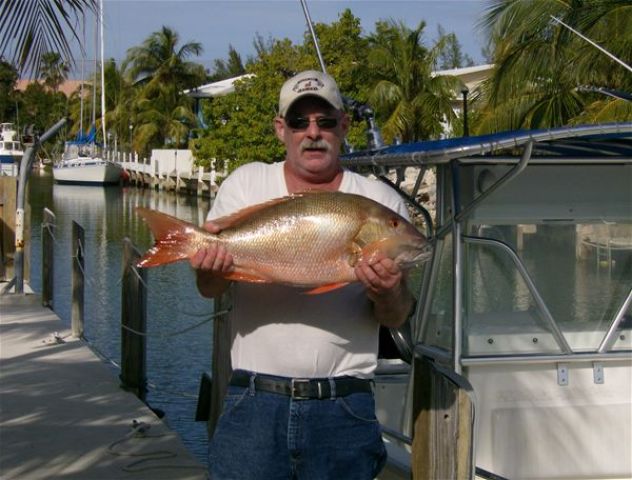 Mutton Snapper