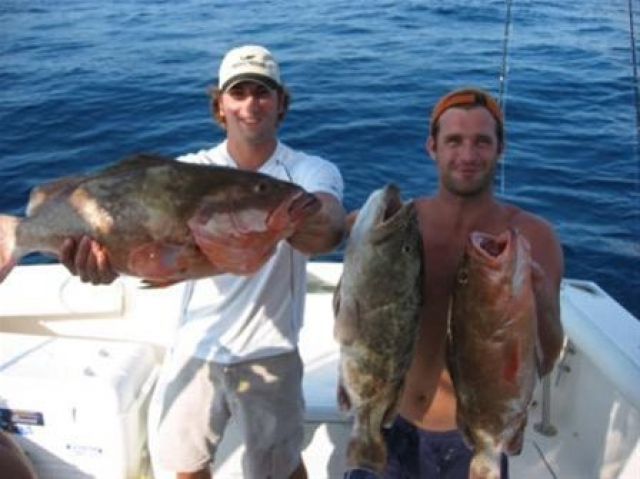 Groupers Galore!