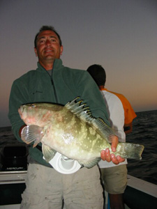 Just Next Door Bobby & New York Anthony Land Lunker Gag Grouper & Gray (Mangrove) Snapper