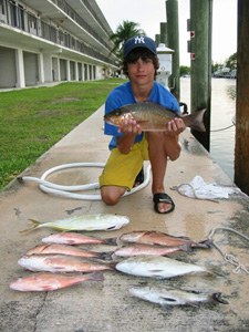 Jack & Graham's Amberjack