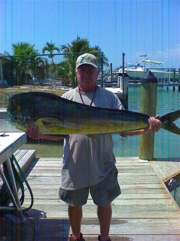 Tom Harris - Jacksonville, FL