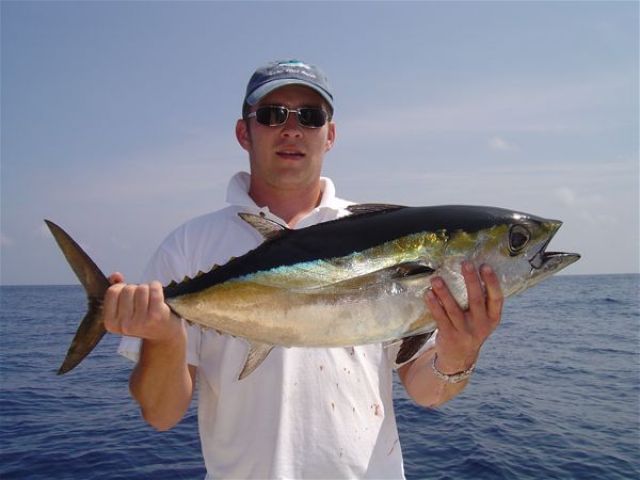 Black Fin Tuna  Boat Rental